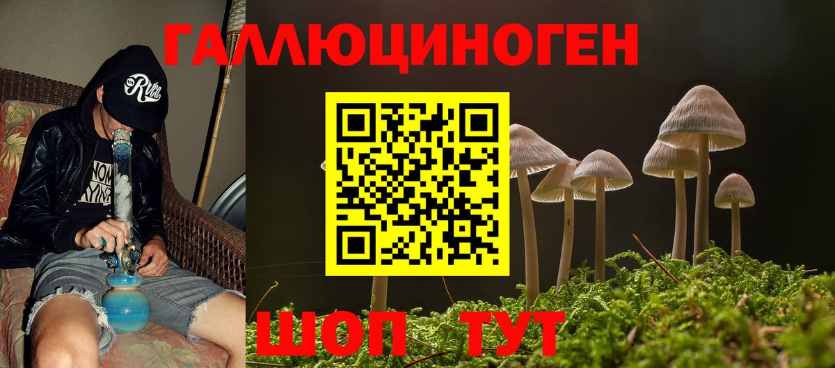 Галлюциногенные грибы Psilocybe  Галлюциногенные грибы Psilocybine cubensis  Ахтубинск  Вход с VPN 