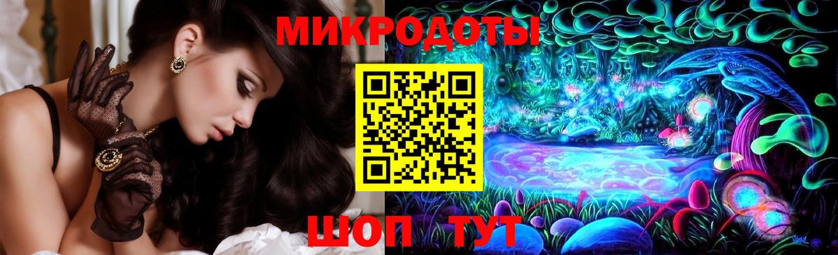 Галлюциногенные грибы Psilocybine cubensis Ахтубинск